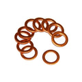 Cirrus 31490-007 Copper Crush Washer (Beringer)